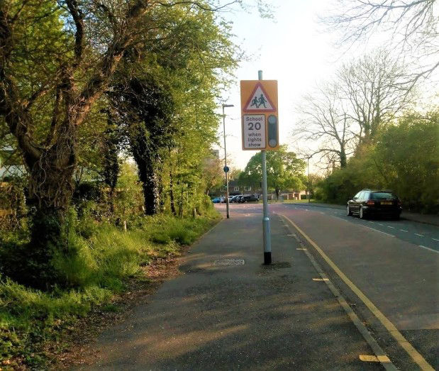 A tree-lined road in Garth, from our local photograph archive